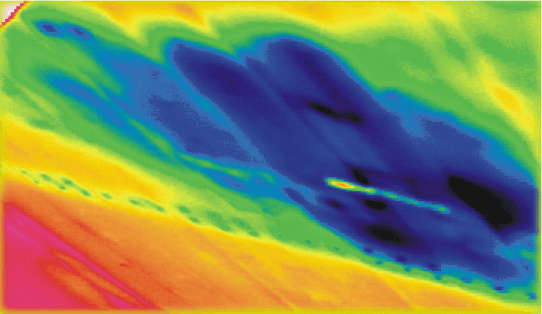 Thermogramm Marderschaden